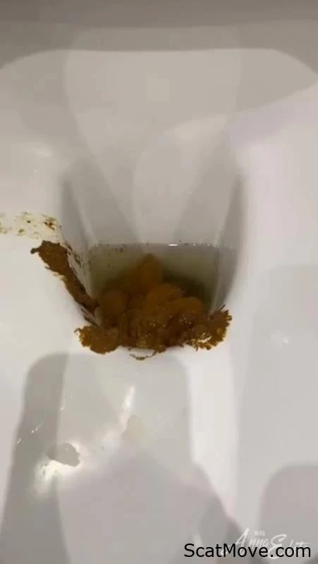 An Abundance Of Shit In The Lavatory. P1