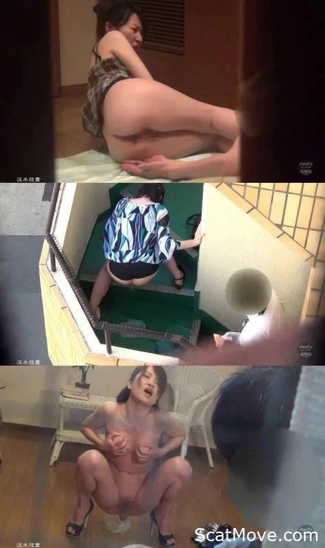 BFSO-04 スタイリッシュな女性が下着を汚させて排泄を映し出す。